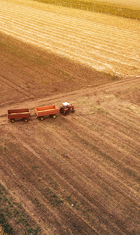 L&L Agricultural Services Sasol-Argricultural-Trust Bursary